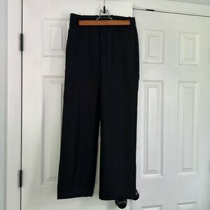 Banana Republic Lido Straight leg pants